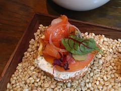 salmon-Atto Primo