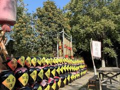 -东台西溪天仙缘景区