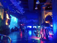 -芜湖新华联大白鲸海洋公园