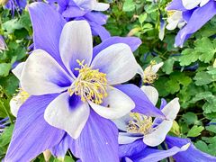 -郑州中国绿化博览园