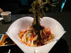沙拉-将太无二·北美传奇寿司(瑞士公寓店)