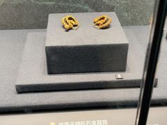 -盘龙城国家考古遗址公园