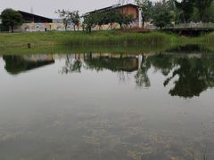 -白鹭湾湿地公园