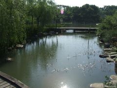 -蠡湖大桥公园