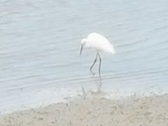 -北海金海湾红树林生态旅游区