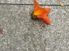 -华润万家(荔湾店)