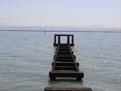 -贡湖湾湿地公园