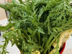 -朴小妹人参鸡汤火锅(长白山万达店)