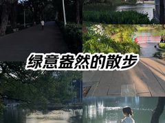 -荔湾湖公园