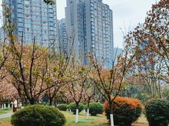 -塔子山公园