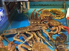 -必点海鲜·鲅鱼水饺(鞍山西道店)
