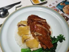 切鸡拼烧鸭饭-新宝餐厅(流塘店)