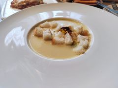 -百好乐宠物友好餐厅(朝外大街店)