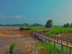 -野鸭湖国家湿地公园