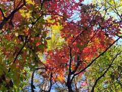 -三块石国家森林公园