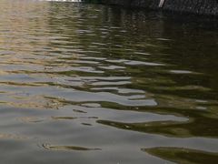 -静之湖湖畔餐厅