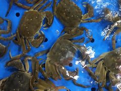-徐记海鲜(梅溪新天地店)