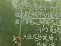 -南宁南湖公园