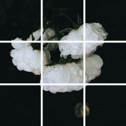 -凡碧诗毛孔收细