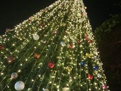 -索菲特西湖大酒店·香榭丽全日候餐厅(南山路店)