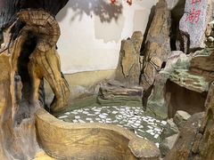 -皖小斌·小葱伴豆腐(丰收路店)