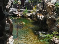 -香雪海饭店中餐厅(人民桥店)