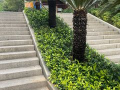 -青礁慈济宫