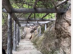 -雁荡山三折瀑景区