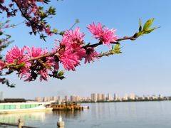 -无锡蠡湖国家湿地公园-蠡园