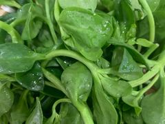 -攀枝花野菜铜火锅(万科凯德店)