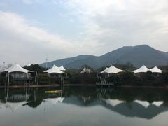 -帐篷客·溪龙茶谷度假酒店