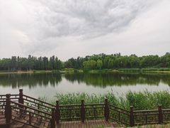 -北坞公园