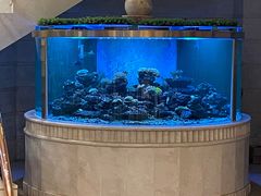 -碧中海汤泉汗蒸酒店