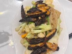 翡翠白玉羊肚菌-尖沙咀酒店(大沥店)