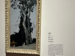 -四川美术馆