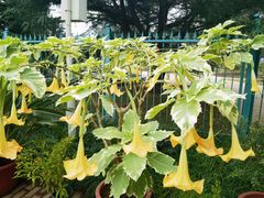 -国家植物园南园