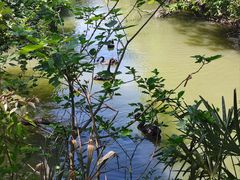 -常州淹城野生动物世界