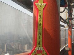 -339旋转餐厅(天府熊猫塔店)