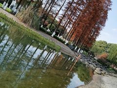 -昆山城市公园
