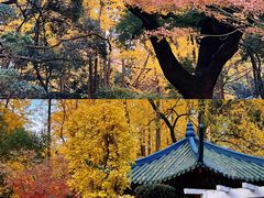 -中山公园
