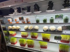 -番食园鲜食火锅(高新店)