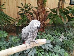 -南宫五洲植物乐园