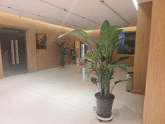 -XPEL旗舰店·汽车贴膜·隐形车衣·改色贴膜