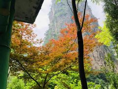 -红豆峡