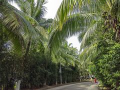 -白沙门生态公园