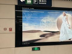-大望路(地铁站)