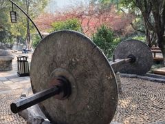 -柳侯公园