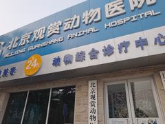 -北京观赏动物医院·24小时大型综合·猫专科·异宠专科