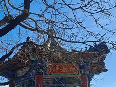 -北京西山国家森林公园