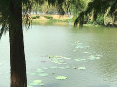 -艾溪湖湿地公园